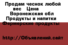 Продам чеснок любой вес › Цена ­ 150 - Воронежская обл. Продукты и напитки » Фермерские продукты   